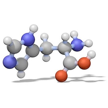 Chromolith® SpeedROD DIOL 50-4.6 整体式 HPLC 柱 153171 1STMerck(默克密理博)1.53171.0001